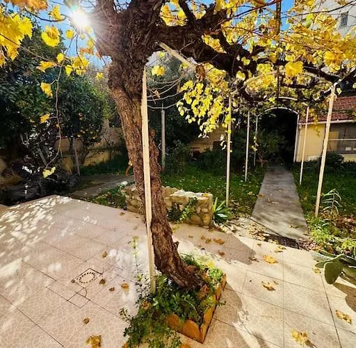 Maison Centre Avec Jardin * Perpignan